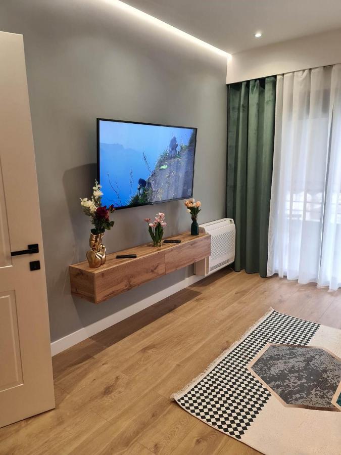 Grey Luxury Apartment Gjirokastër Eksteriør billede