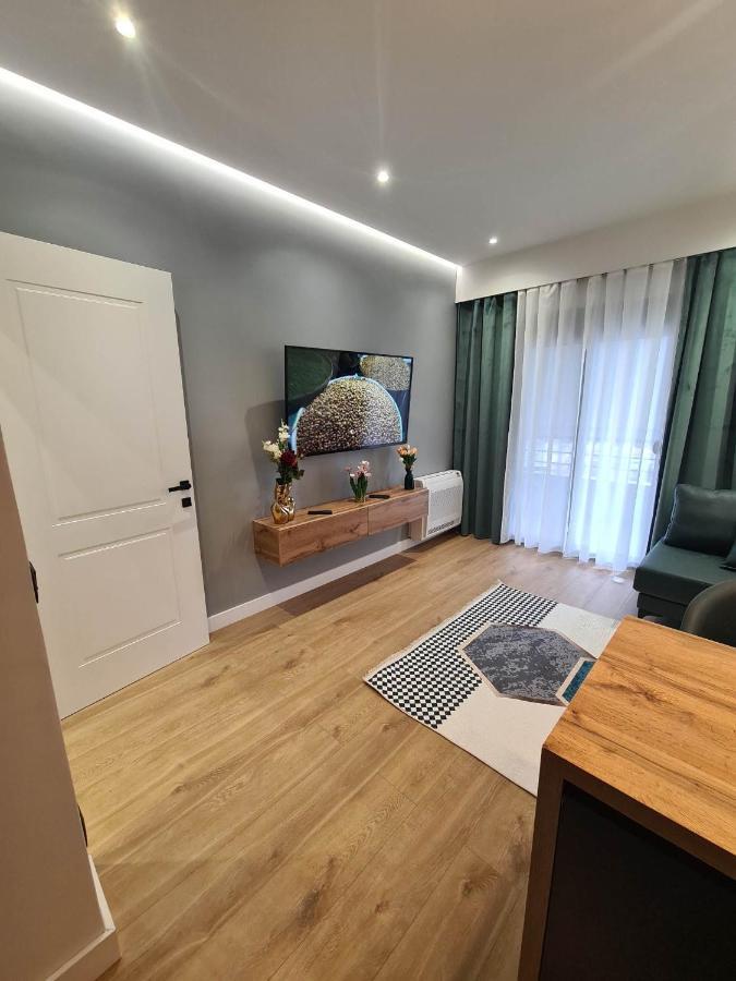 Grey Luxury Apartment Gjirokastër Eksteriør billede